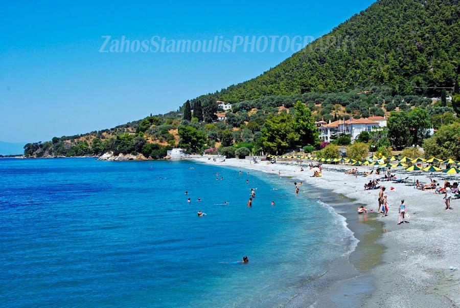 Aris Junior Studio & Apartments Neo Klima Dış mekan fotoğraf